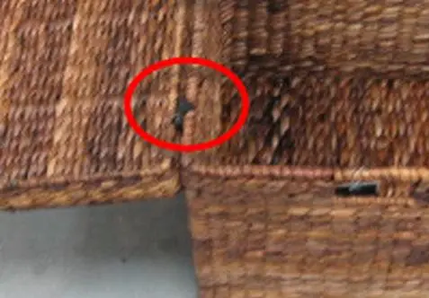 Recalled Storage Trunk Showing Standard Hinge
