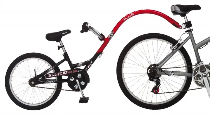 Recalled Children's Trailer Bike