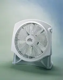 Recalled Fan