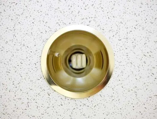 Recalled Ceiling Light