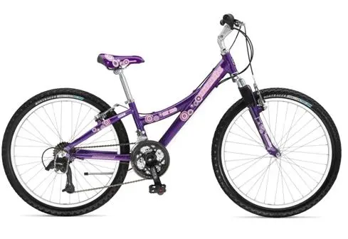 Recalled Bicycle Model MT220 - Year 2007