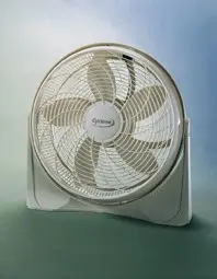 Recalled Fan