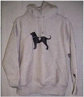 Recalled Children's Sweatshirt