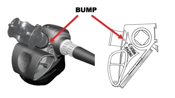 Raised Bump on Affected Unit